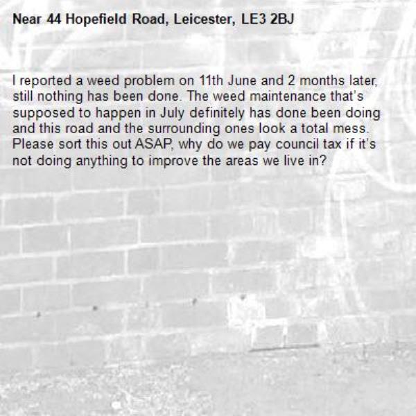 I reported a weed problem on 11th June and 2 months later, still nothing has been done. The weed maintenance that’s supposed to happen in July definitely has done been doing and this road and the surrounding ones look a total mess. Please sort this out ASAP, why do we pay council tax if it’s not doing anything to improve the areas we live in? -44 Hopefield Road, Leicester, LE3 2BJ