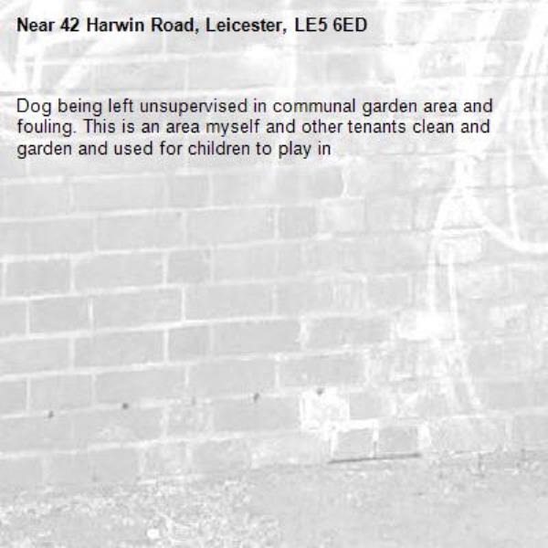 Dog being left unsupervised in communal garden area and fouling. This is an area myself and other tenants clean and garden and used for children to play in -42 Harwin Road, Leicester, LE5 6ED