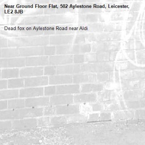 Dead fox on Aylestone Road near Aldi-Ground Floor Flat, 502 Aylestone Road, Leicester, LE2 8JB