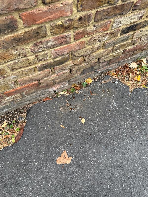 4th time reporting - stop falsely marking as complete when you haven’t cleaned it up!-2A, Northbrook Road, London, SE13 5QT