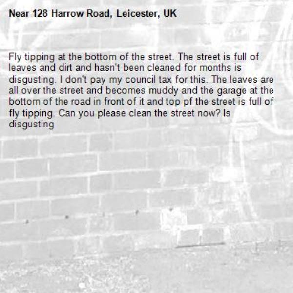Fly tipping at the bottom of the street. The street is full of leaves and dirt and hasn&#39;t been cleaned for months is disgusting. I don&#39;t pay my council tax for this. The leaves are all over the street and becomes muddy and the garage at the bottom of the road in front of it and top pf the street is full of fly tipping. Can you please clean the street now? Is disgusting -128 Harrow Road, Leicester, UK