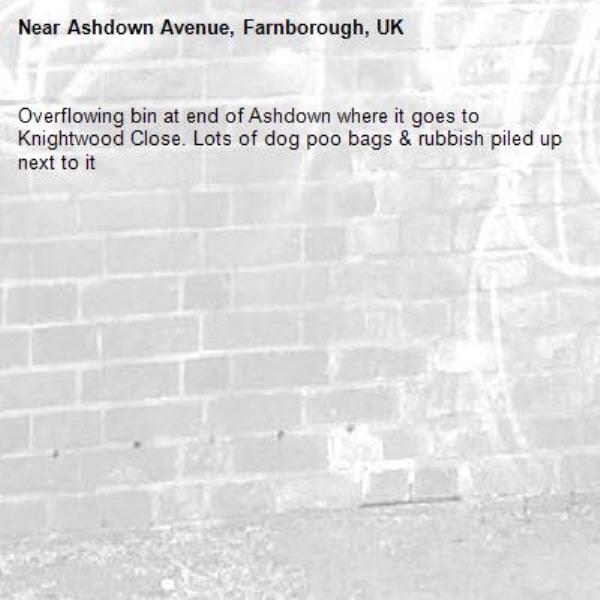 Overflowing bin at end of Ashdown where it goes to Knightwood Close. Lots of dog poo bags &amp; rubbish piled up next to it-Ashdown Avenue, Farnborough, UK