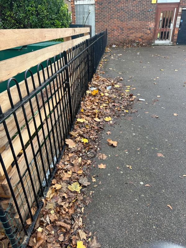 There’s a large collection of leaves outside our property’s the street hasn’t been swept at all in the last two months. -46 Maryland Street, Stratford, E15 1JD, England, United Kingdom