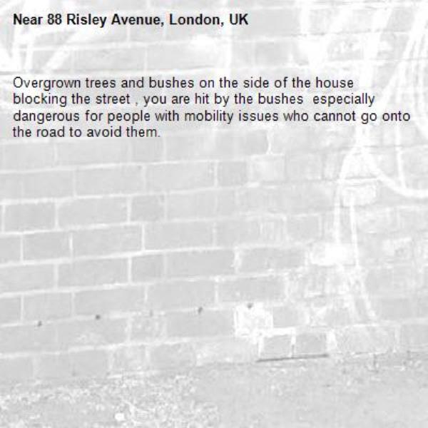 Overgrown trees and bushes on the side of the house blocking the street , you are hit by the bushes  especially dangerous for people with mobility issues who cannot go onto the road to avoid them.-88 Risley Avenue, London, UK