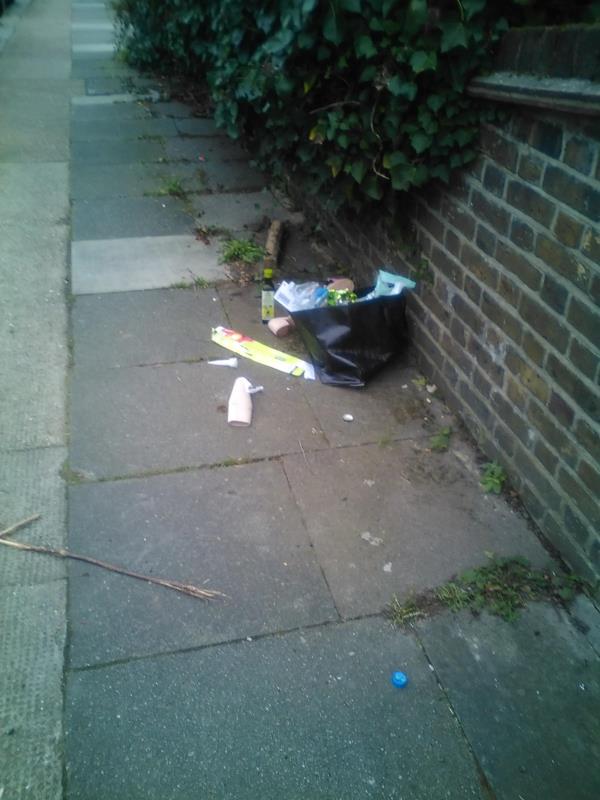 bag of rubbish on pavement-49 wisteria road