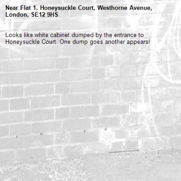 Looks like white cabinet dumped by the entrance to  Honeysuckle Court. One dump goes another appears!-Flat 1, Honeysuckle Court, Westhorne Avenue, London, SE12 9HS