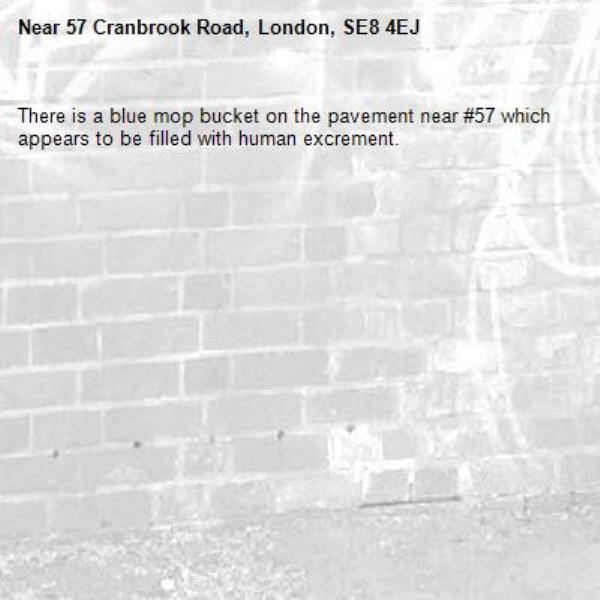 There is a blue mop bucket on the pavement near #57 which appears to be filled with human excrement.-57 Cranbrook Road, London, SE8 4EJ