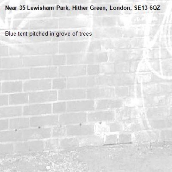 Blue tent pitched in grove of trees-35 Lewisham Park, Hither Green, London, SE13 6QZ