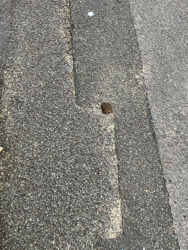 Dog poo outside numbers 7, 9,11, 17 and 19 Mount Pleasant Rd GU 12 4NL
Getting really fed up with this now. Keep reporting it down here and it never gets cleared-29 Mount Pleasant Road, Aldershot, GU12 4NL