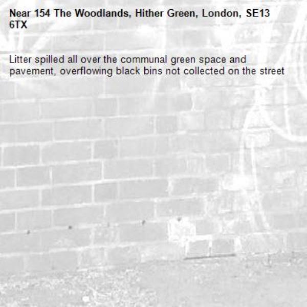 Litter spilled all over the communal green space and pavement, overflowing black bins not collected on the street-154 The Woodlands, Hither Green, London, SE13 6TX