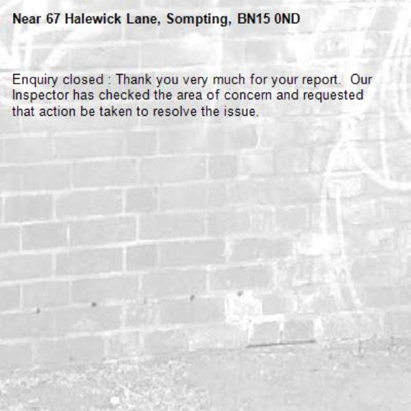Enquiry closed : Thank you very much for your report.  Our Inspector has checked the area of concern and requested that action be taken to resolve the issue.-67 Halewick Lane, Sompting, BN15 0ND