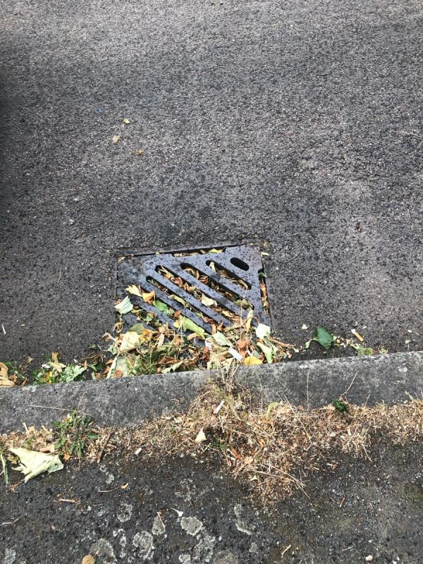 Outside no 79. Please clear blocked gully -81 Old Bromley Road, Bromley, BR1 4JZ