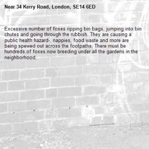 Excessive number of foxes ripping bin bags, jumping into bin chutes and going through the rubbish. They are causing a public health hazard-, nappies, food waste and more are being spewed out across the footpaths. There must be hundreds.of foxes.now breeding under all the gardens in the neighborhood. -34 Kerry Road, London, SE14 6ED
