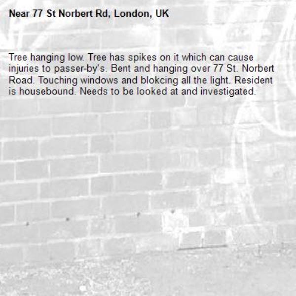 Tree hanging low. Tree has spikes on it which can cause injuries to passer-by's. Bent and hanging over 77 St. Norbert Road. Touching windows and blokcing all the light. Resident is housebound. Needs to be looked at and investigated.-77 St Norbert Rd, London, UK