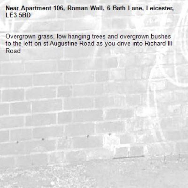 Overgrown grass, low hanging trees and overgrown bushes to the left on st Augustine Road as you drive into Richard III Road -Apartment 106, Roman Wall, 6 Bath Lane, Leicester, LE3 5BD