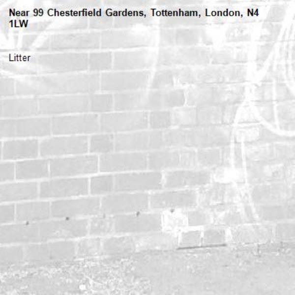 Litter-99 Chesterfield Gardens, Tottenham, London, N4 1LW