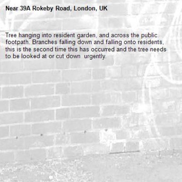 Tree hanging into resident garden, and across the public footpath. Branches falling down and falling onto residents, this is the second time this has occurred and the tree needs to be looked at or cut down  urgently.-39A Rokeby Road, London, UK