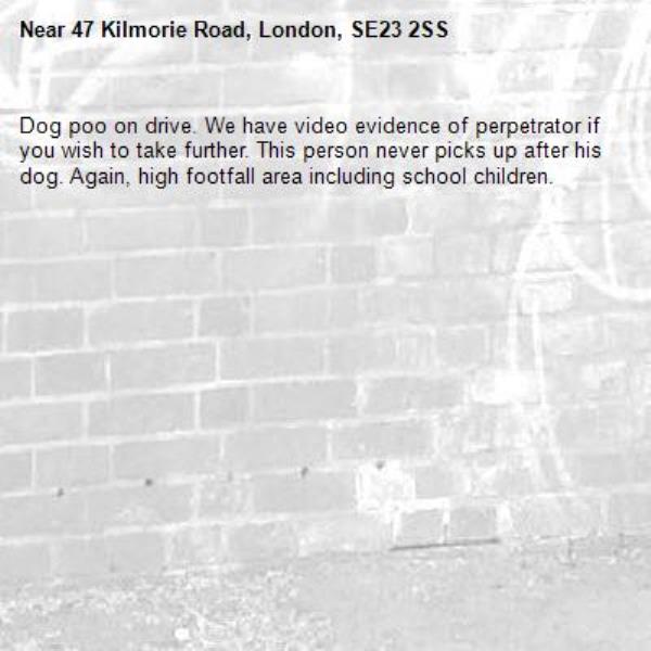 Dog poo on drive. We have video evidence of perpetrator if you wish to take further. This person never picks up after his dog. Again, high footfall area including school children. -47 Kilmorie Road, London, SE23 2SS