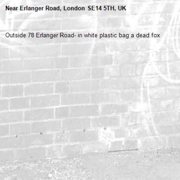 Outside 78 Erlanger Road- in white plastic bag a dead fox-Erlanger Road, London SE14 5TH, UK