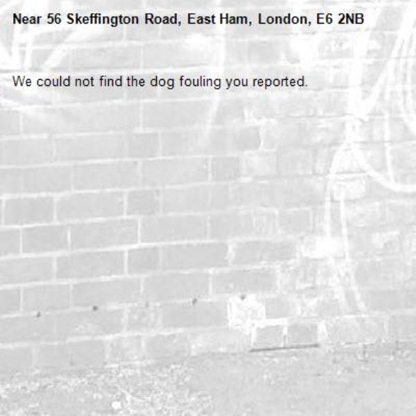 We could not find the dog fouling you reported.-56 Skeffington Road, East Ham, London, E6 2NB
