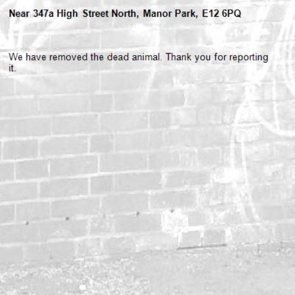 We have removed the dead animal. Thank you for reporting it.-347a High Street North, Manor Park, E12 6PQ