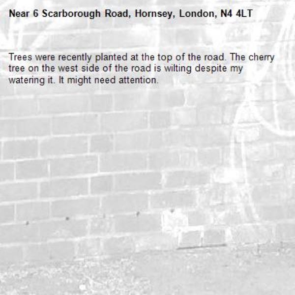 Trees were recently planted at the top of the road. The cherry tree on the west side of the road is wilting despite my watering it. It might need attention.-6 Scarborough Road, Hornsey, London, N4 4LT