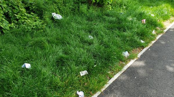Saffron lane is a pigsty, needs enforcement and policing of no littering. -147 Saffron Lane, Leicester, LE2 7NA