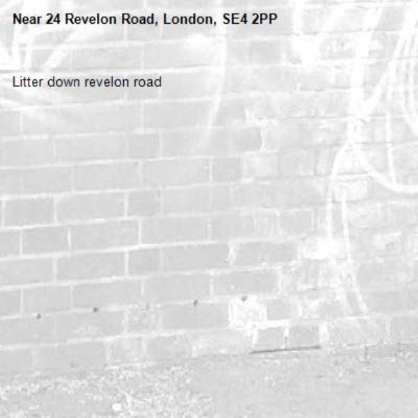 Litter down revelon road -24 Revelon Road, London, SE4 2PP