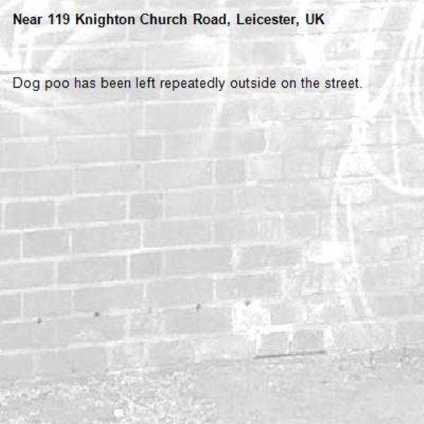 Dog poo has been left repeatedly outside on the street.-119 Knighton Church Road, Leicester, UK