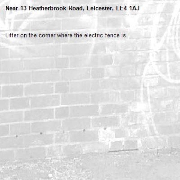 Litter on the corner where the electric fence is -13 Heatherbrook Road, Leicester, LE4 1AJ
