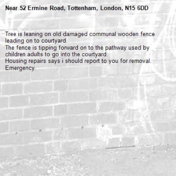 Tree is leaning on old damaged communal wooden fence leading on to courtyard.
The fence is tipping forward on to the pathway used by children adults to go into the courtyard.
Housing repairs says i should report to you for removal.
Emergency.-52 Ermine Road, Tottenham, London, N15 6DD