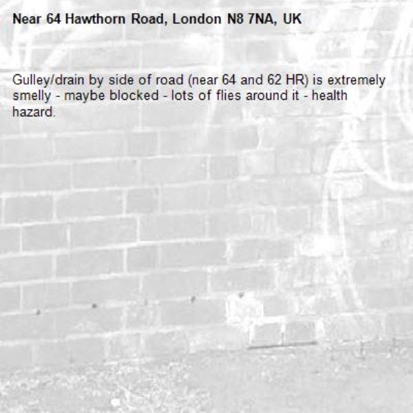 Gulley/drain by side of road (near 64 and 62 HR) is extremely smelly - maybe blocked - lots of flies around it - health hazard. -64 Hawthorn Road, London N8 7NA, UK