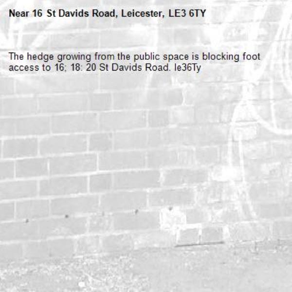 The hedge growing from the public space is blocking foot access to 16; 18: 20 St Davids Road. le36Ty-16 St Davids Road, Leicester, LE3 6TY