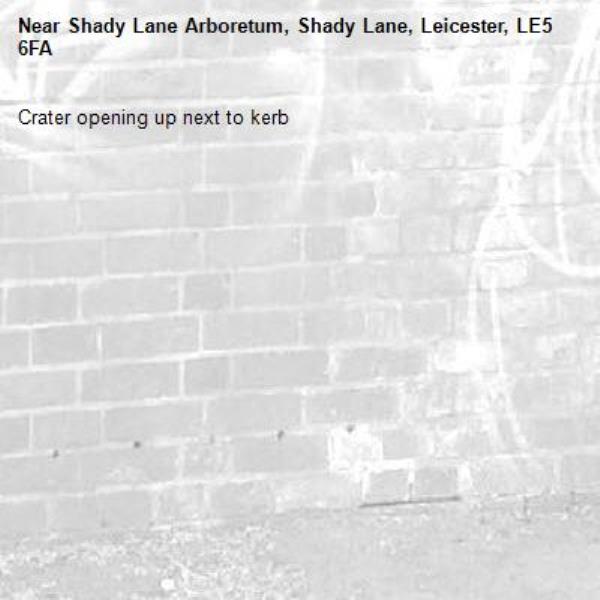 Crater opening up next to kerb-Shady Lane Arboretum, Shady Lane, Leicester, LE5 6FA