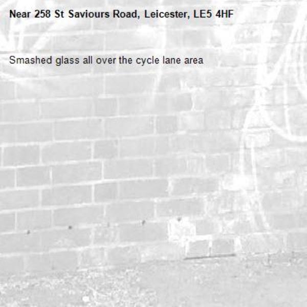 Smashed glass all over the cycle lane area-258 St Saviours Road, Leicester, LE5 4HF