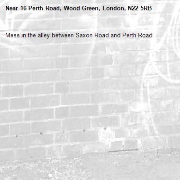 Mess in the alley between Saxon Road and Perth Road -16 Perth Road, Wood Green, London, N22 5RB