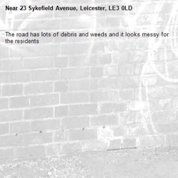 The road has lots of debris and weeds and it looks messy for the residents -23 Sykefield Avenue, Leicester, LE3 0LD