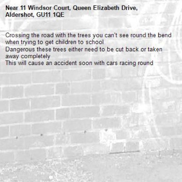 Crossing the road with the trees you can’t see round the bend when trying to get children to school 
Dangerous these trees either need to be cut back or taken away completely 
This will cause an accident soon with cars racing round -11 Windsor Court, Queen Elizabeth Drive, Aldershot, GU11 1QE