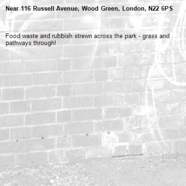 Food waste and rubbish strewn across the park - grass and pathways through!-116 Russell Avenue, Wood Green, London, N22 6PS