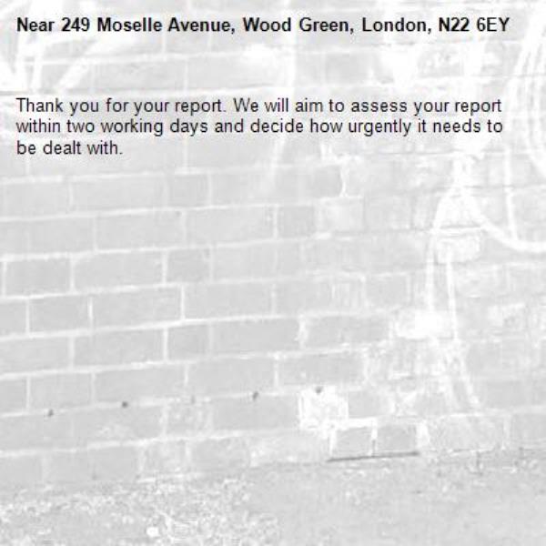 Thank you for your report. We will aim to assess your report within two working days and decide how urgently it needs to be dealt with.-249 Moselle Avenue, Wood Green, London, N22 6EY