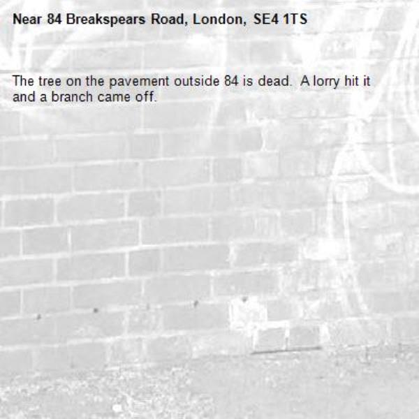 The tree on the pavement outside 84 is dead.  A lorry hit it and a branch came off.  -84 Breakspears Road, London, SE4 1TS