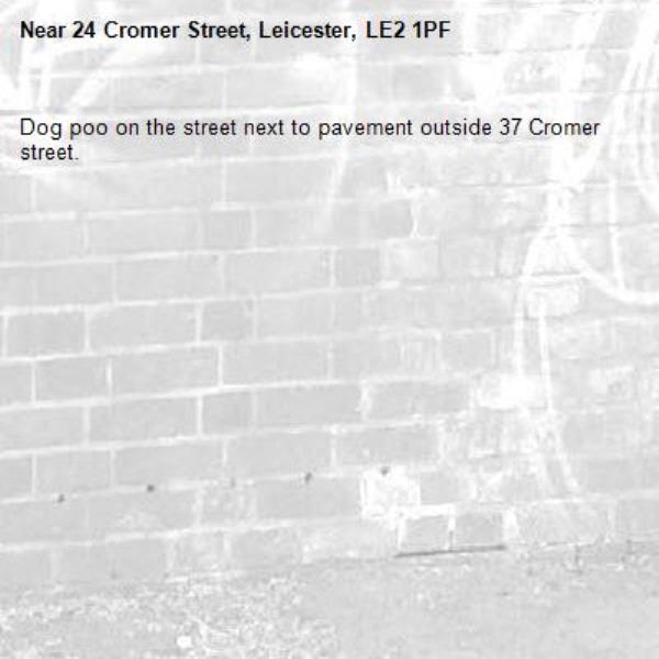 Dog poo on the street next to pavement outside 37 Cromer street.-24 Cromer Street, Leicester, LE2 1PF
