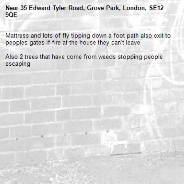 Mattress and lots of fly tipping down a foot path also exit to peoples gates if fire at the house they can’t leave 

Also 2 trees that have come from weeds stopping people escaping -35 Edward Tyler Road, Grove Park, London, SE12 9QE
