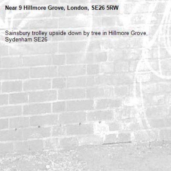 Sainsbury trolley upside down by tree in Hillmore Grove, Sydenham SE26-9 Hillmore Grove, London, SE26 5RW