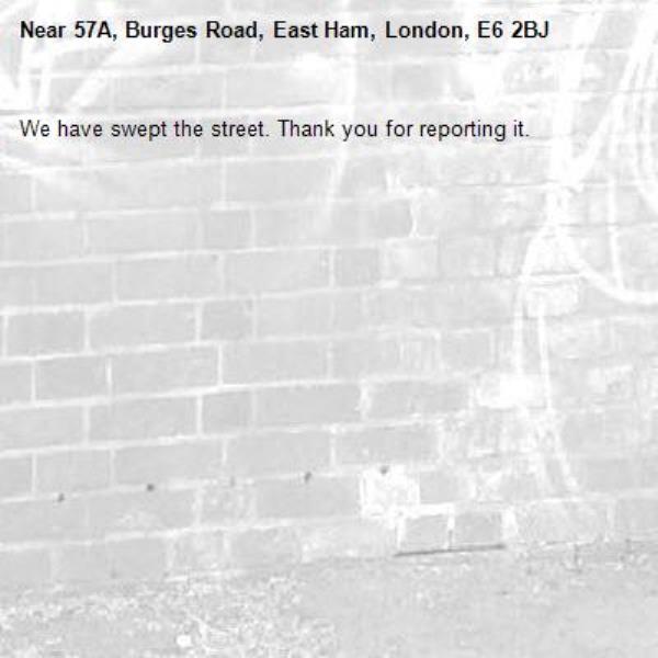 We have swept the street. Thank you for reporting it.-57A, Burges Road, East Ham, London, E6 2BJ