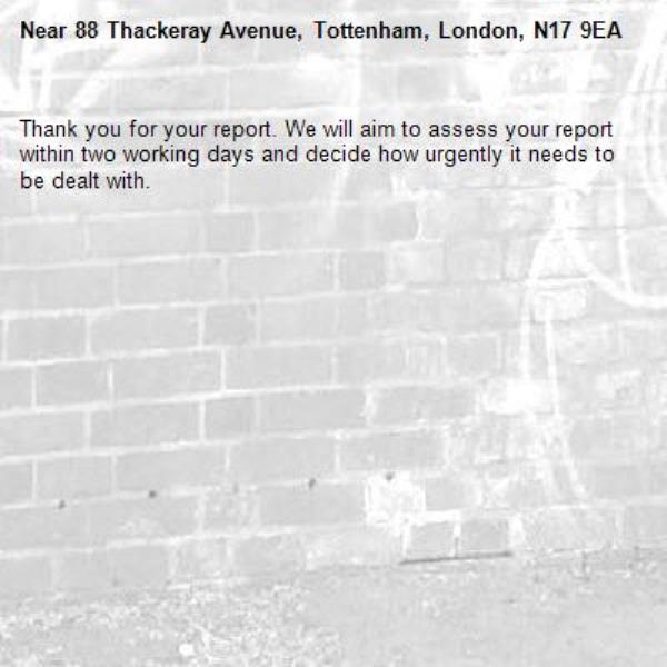 Thank you for your report. We will aim to assess your report within two working days and decide how urgently it needs to be dealt with.-88 Thackeray Avenue, Tottenham, London, N17 9EA
