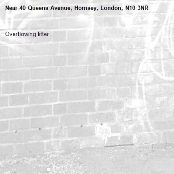 Overflowing litter -40 Queens Avenue, Hornsey, London, N10 3NR
