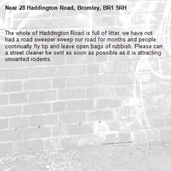 The whole of Haddington Road is full of litter, we have not had a road sweeper sweep our road for months and people continually fly tip and leave open bags of rubbish. Please can a street cleaner be sent as soon as possible as it is attracting unwanted rodents. -28 Haddington Road, Bromley, BR1 5RH