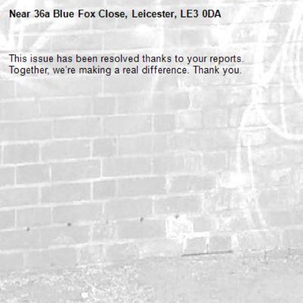 This issue has been resolved thanks to your reports.
Together, we’re making a real difference. Thank you.
-36a Blue Fox Close, Leicester, LE3 0DA
