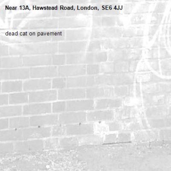 dead cat on pavement-13A, Hawstead Road, London, SE6 4JJ